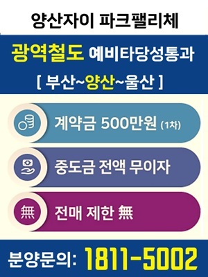팝업