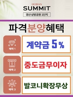 팝업